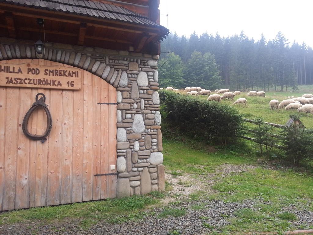 Wynajem Pokoi-Willa Pod Smrekami Zakopane Eksteriør bilde
