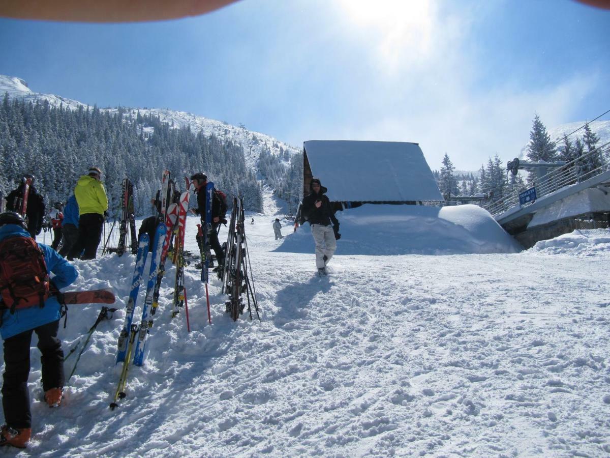 Wynajem Pokoi-Willa Pod Smrekami Zakopane Eksteriør bilde
